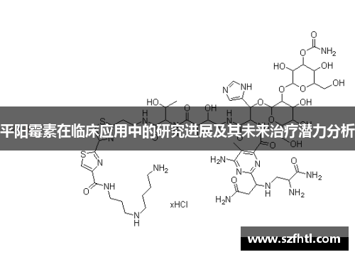 平阳霉素在临床应用中的研究进展及其未来治疗潜力分析